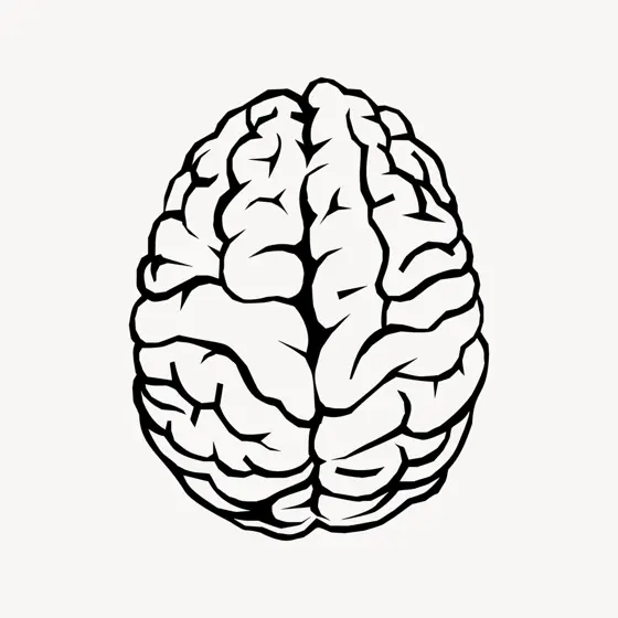 brain illustration