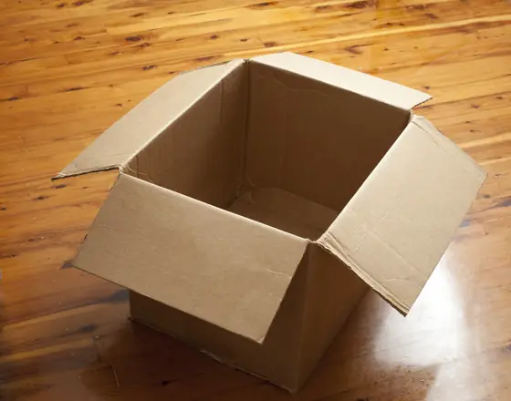 cardboard box