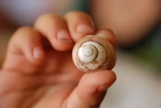 child hand