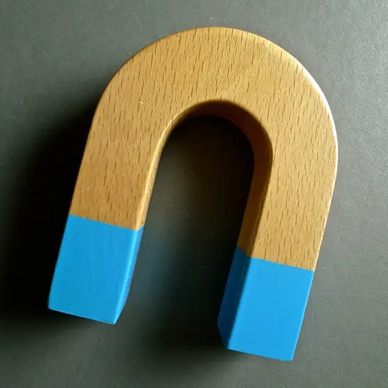 horseshoe magnet