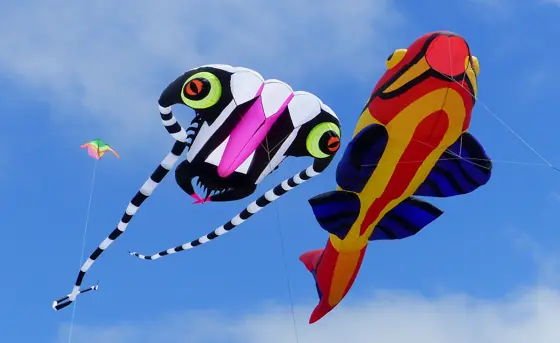 kite flying
