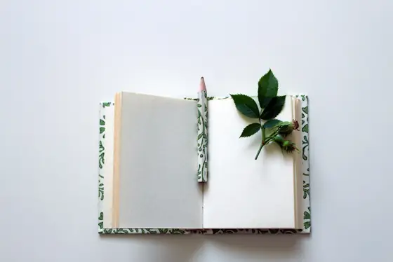 notebook writing