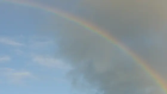 rainbow