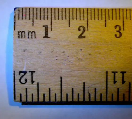 ruler