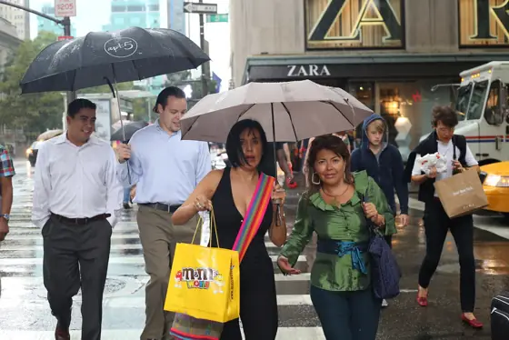 umbrella rain